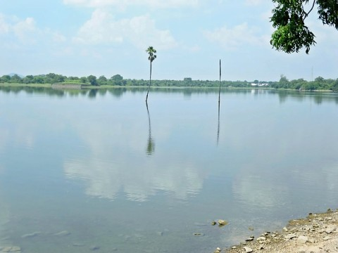 sri-pol-lake-palsm.bmp