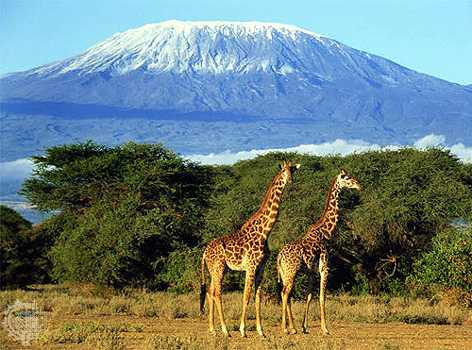 mount-kilimanjaro.bmp