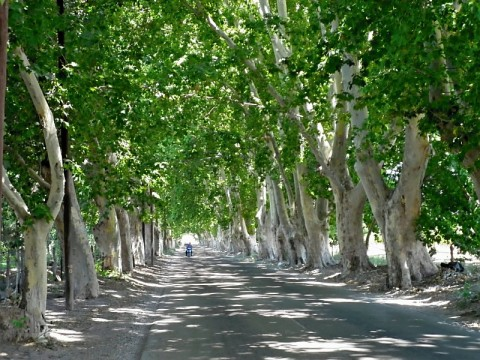 arg-mendoza-wine-road.bmp