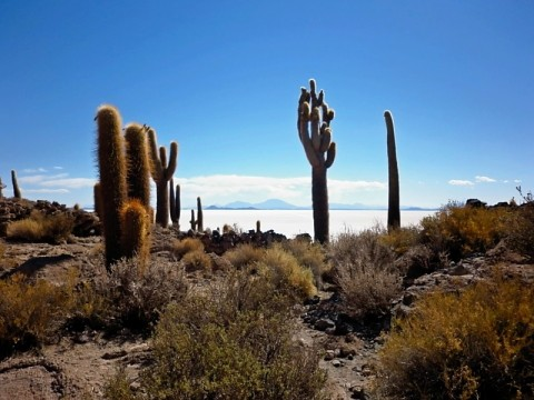 bolivia-incahuasi-1.bmp