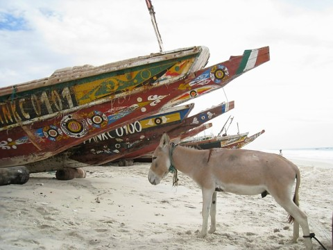 mauritania-donkey-and-boats.bmp