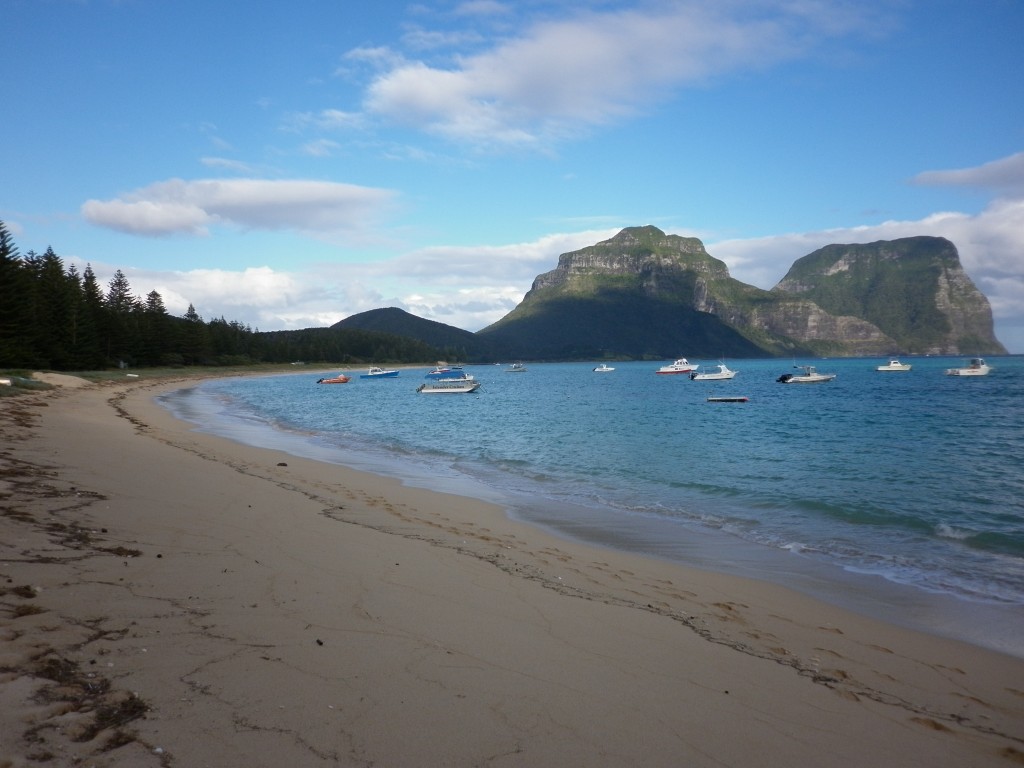 Lord Howe Island, beach, Australia, New South Wales, island