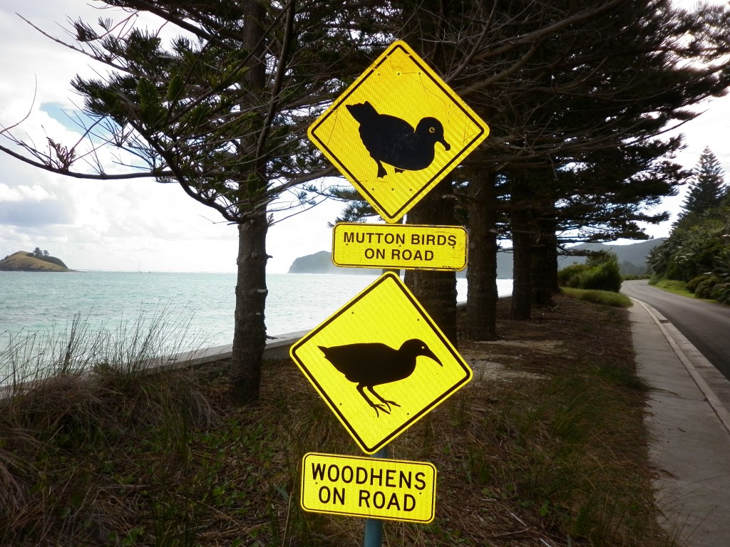 Lord Howe Island, beach, Australia, New South Wales, island