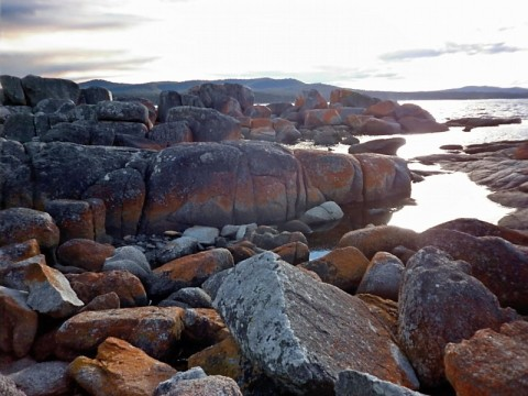 taz-bay-of-fires-rocks.bmp