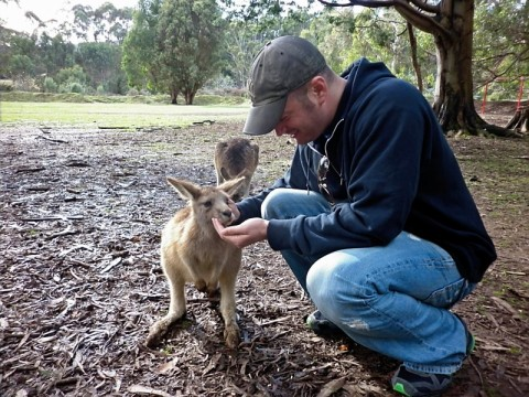 taz-feeding-wallaby.bmp