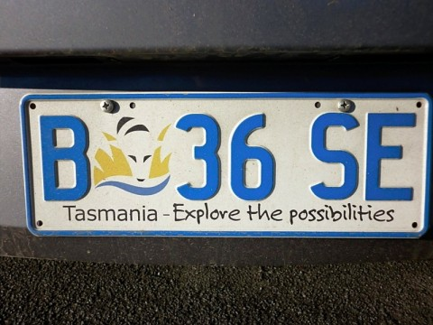 taz-license-plate.bmp