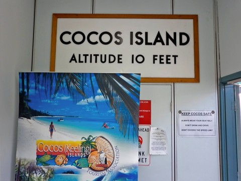 xmas-cocos-altitude-10-feet.bmp