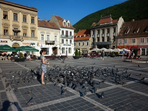 rom-brasov-sq-pigeons-w-random-lady.bmp