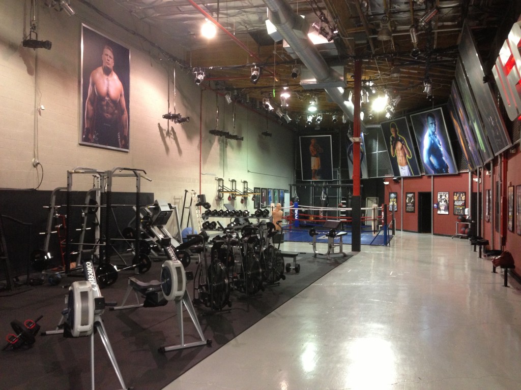 UFC, UFC Training Center, Las Vegas, Vegas, Amir Sadollah, MMA