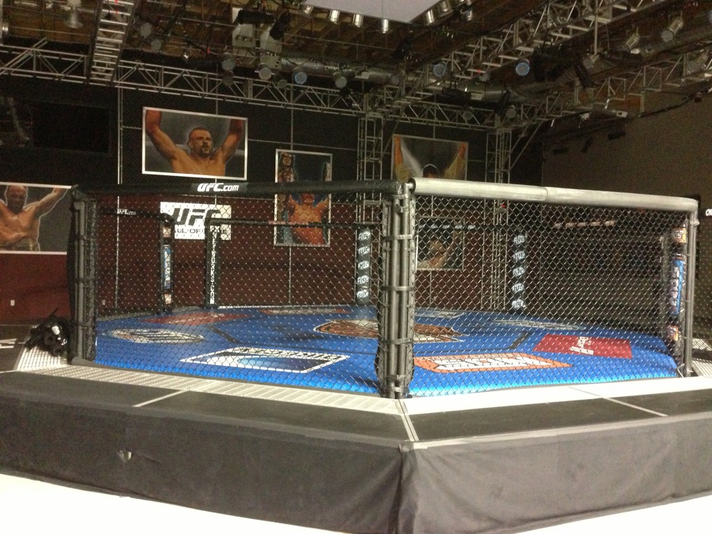 UFC, UFC Training Center, Las Vegas, Vegas, Amir Sadollah, MMA