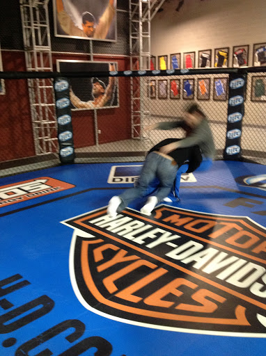 UFC, UFC Training Center, Las Vegas, Vegas, Amir Sadollah, MMA