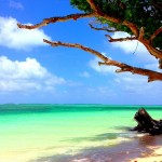 Laura Beach, Majuro, Marshall Islands, beach, Marshallese