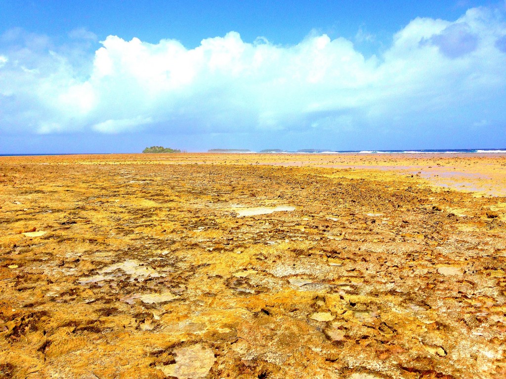 Majuro, Majuro Atoll, Marshall Islands, diving, Eneko, beach, low tide