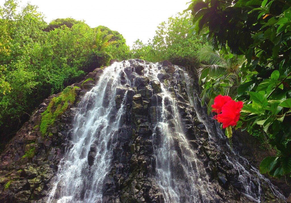 Pohnpei, Micronesia, FSM, Federated States of Micronesia, Kepirohi Waterfall