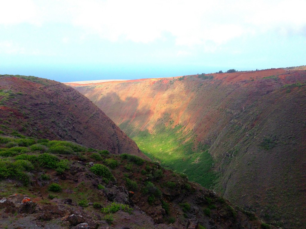 Lanai, Koloiki Ridge Trail, Hawaii, Pacific Ocean, Hawaiian Islands