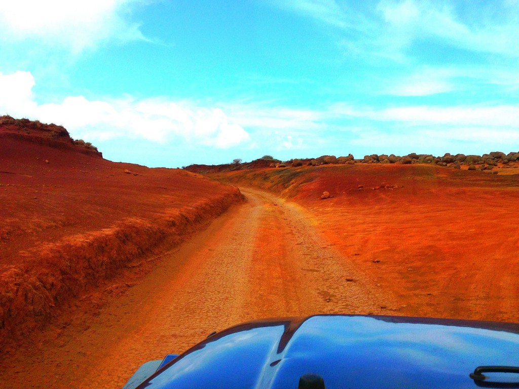 Lanai, offroading, Lanai Grand Adventures, Hawaii, Pacific Ocean, Hawaiian Islands