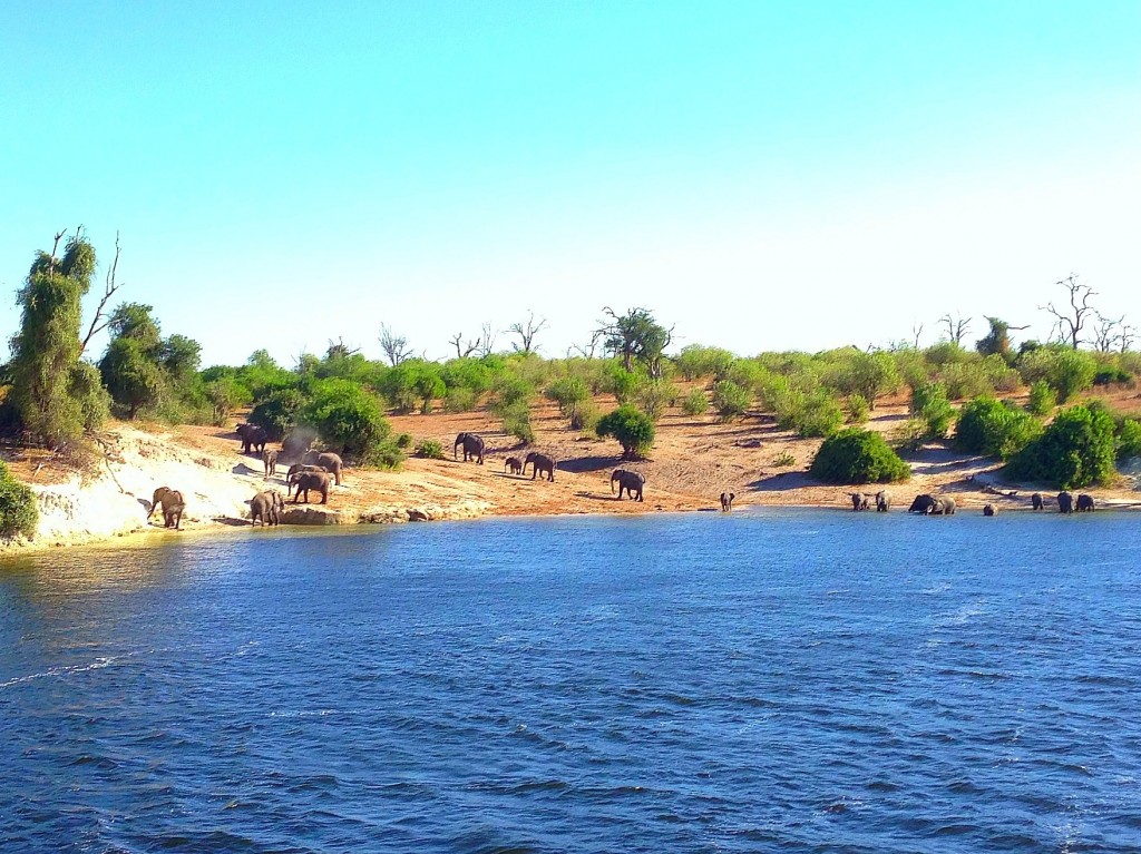 African Four Corners, Chobe River, Caprivi Strip, Zambia, Zimbabwe, Namibia, Botswana, travel, Africa, elephants