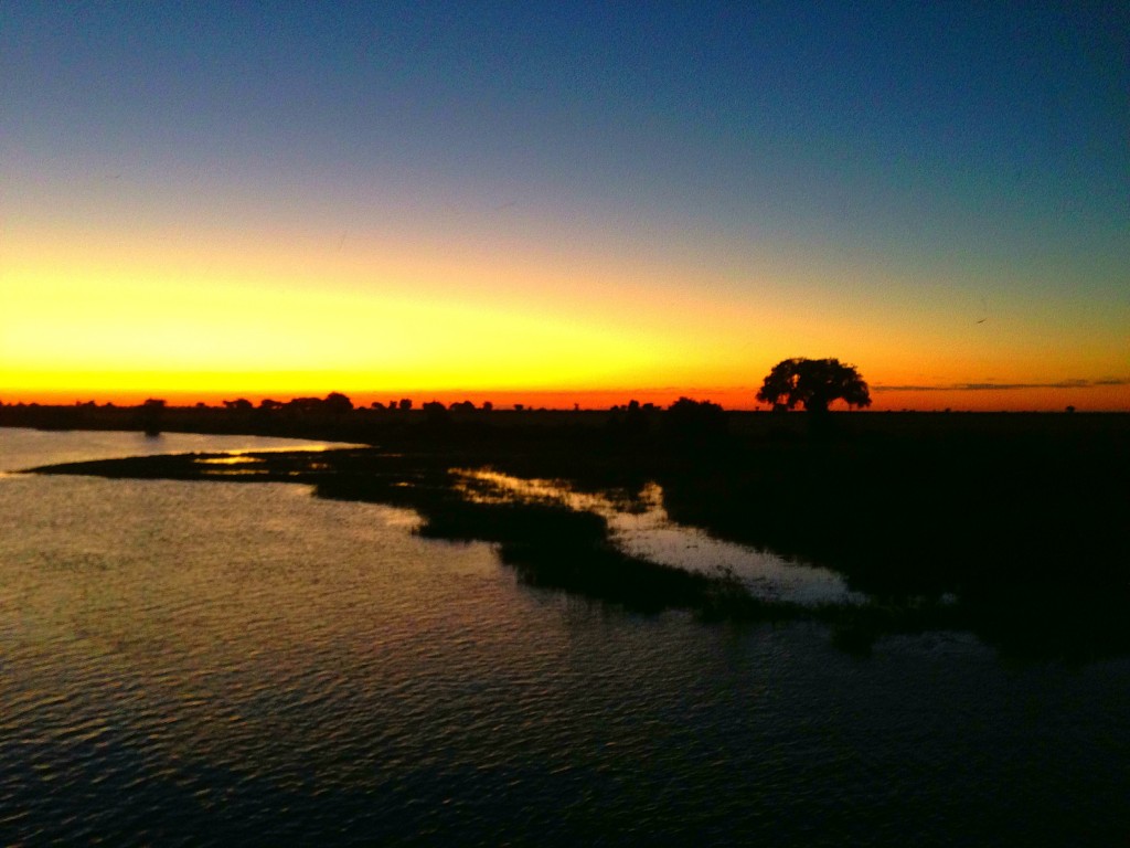 Zambezi Queen, luxury, hotel, African Four Corners, Chobe River, Caprivi Strip, Zambia, Zimbabwe, Namibia, Botswana, travel, Africa, sunset