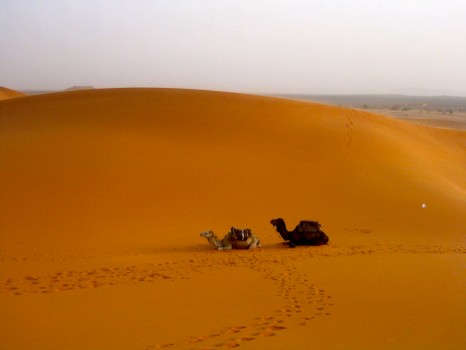 Erg Chebi, Morocco, sand dunes, Sahara Desert