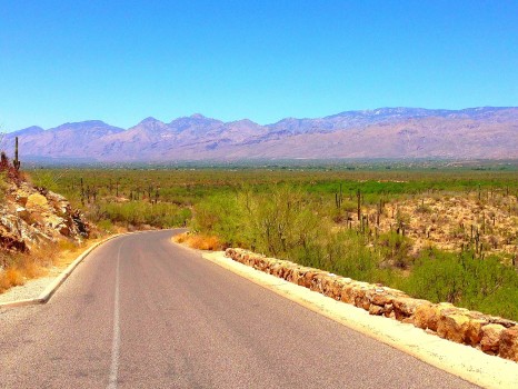 Saguaro National Park, National Park, saguaro, Arizona, Tucson, cactus, cacti, Sonoran Desert, desert