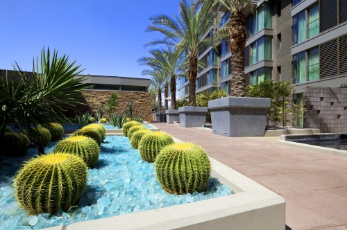 Zen Garden, W Scottsdale, W Hotel Scottsdale, W Hotel, Scottsdale, Phoenix, Arizona