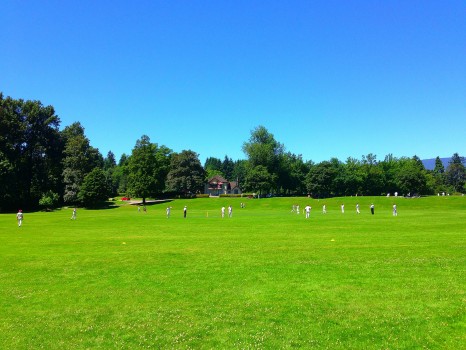 Cricket, Stanley Park, Vancouver