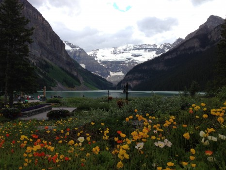 Lake Louise, Fairmont Chateau Lake Louise, Teahouse Hike, Mirror Lake, Lake Agnes, Alberta