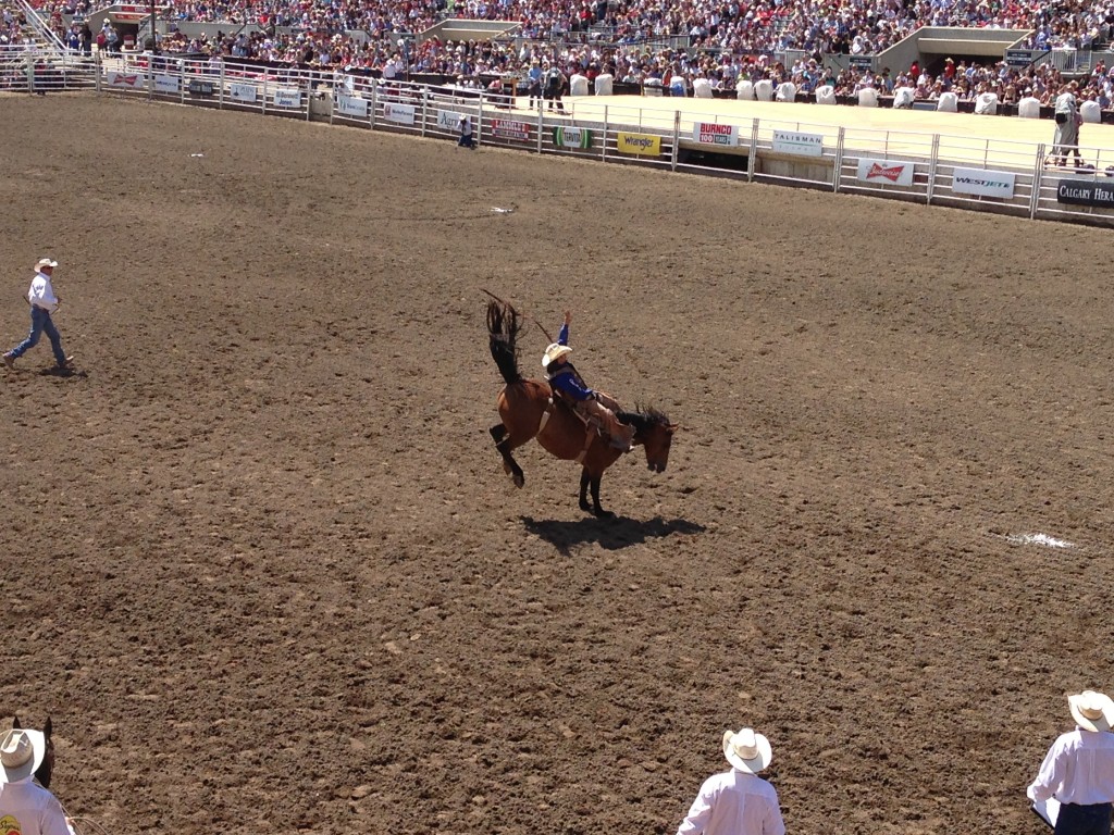 Calgary Stampede, rodeo, Chuck Wagon Racing, Alberta, Canada