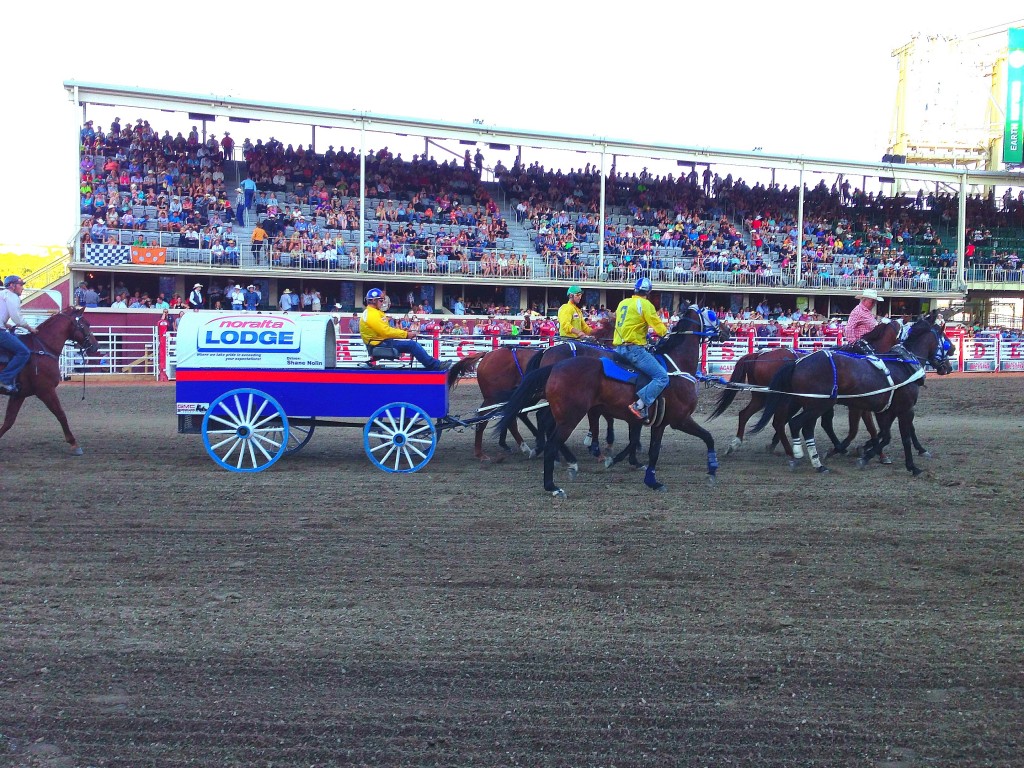 Calgary Stampede, Chuck Wagon Racing, Alberta, Canada