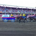 Calgary Stampede, Chuck Wagon Racing, Alberta, Canada