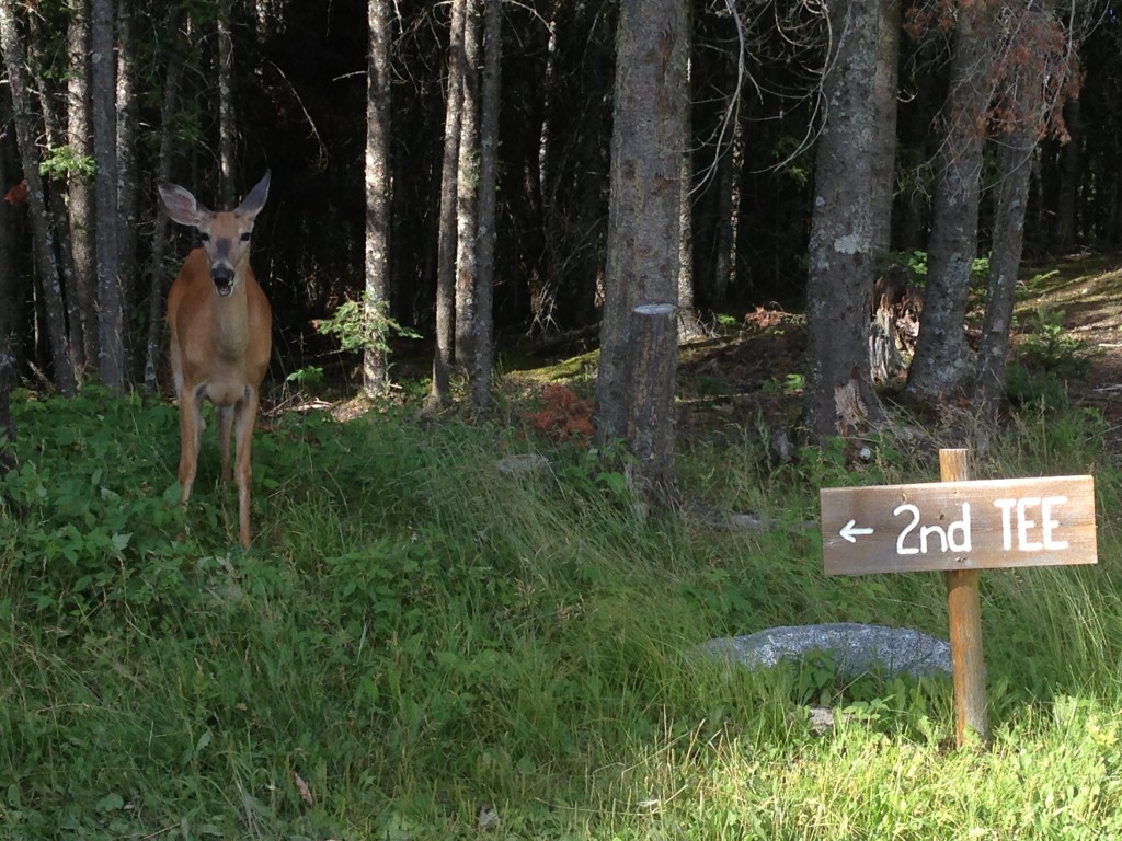 Waskesiu Golf Course, Elk Ridge Resort, Where to Play Golf in Saskatchewan, Golf in Saskatchewan, golf, Saskatchewan