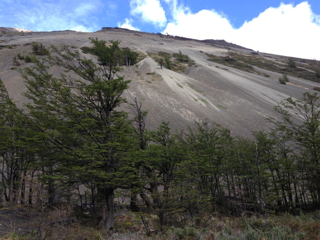 Torres Del Paine views, Chile