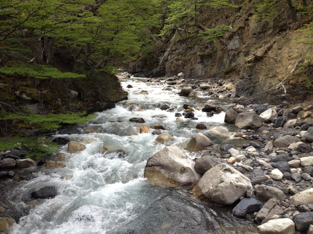 Torres Del Paine river, Chile