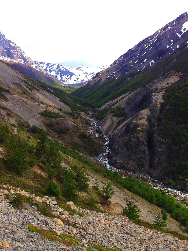 View in Torres Del Paine, Chile