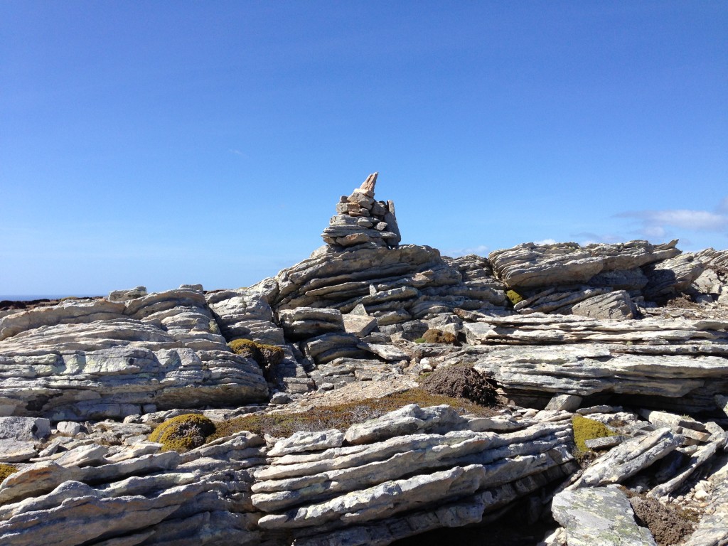 Carcass Island, Falkland Islands, Falklands, beach, gentoo penguins, Carcass Island Farmhouse