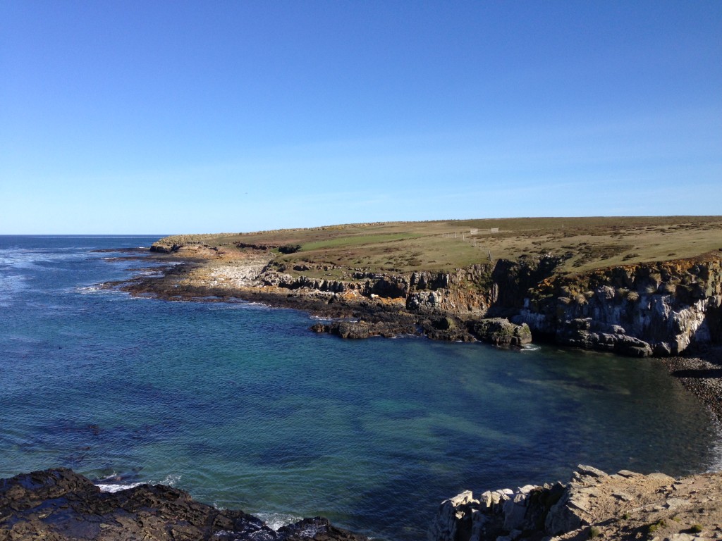 Bleaker Island, Falkland Islands, coastline