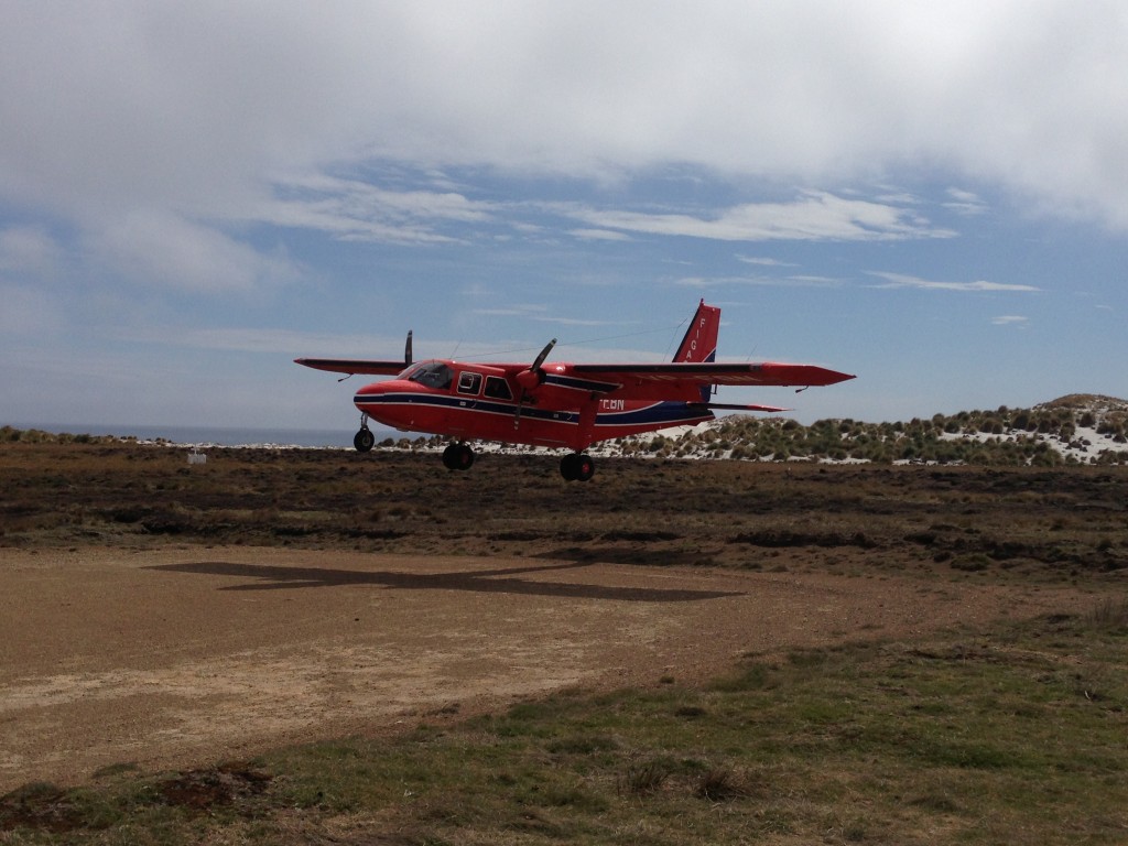 FIGAS, Sea Lion Island, Falkland Islands