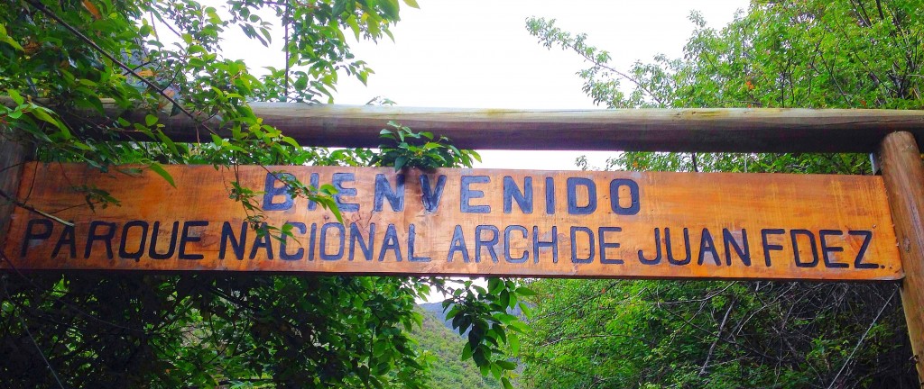 Parque Nacional de Juan Fernandez, Robinson Crusoe Island, Chile