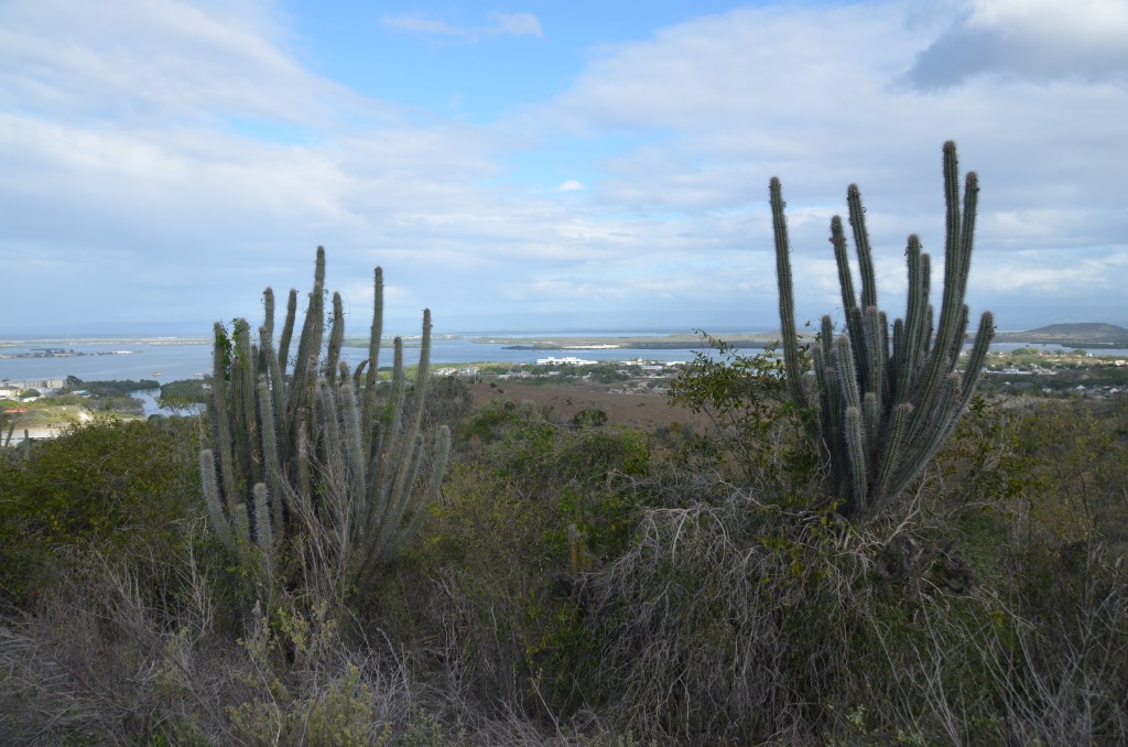 Guantanamo Bay, Guantanamo Bay Naval Station, Guantanamo Bay view, Ridgeline Trail