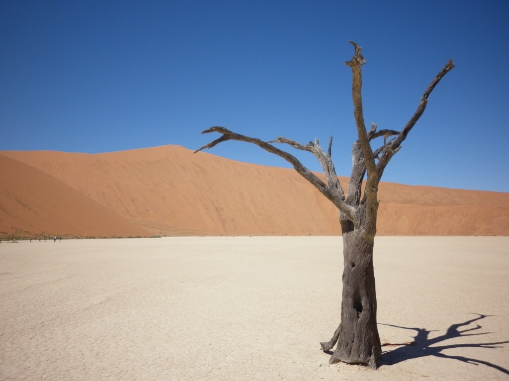 Deadvlei, Sossusvlei, Namibia, Africa