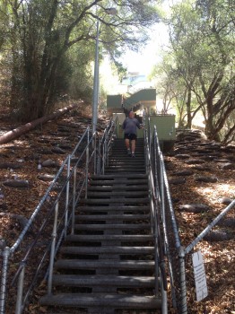 Kings Park, Jacobs Ladder, Perth, Western Australia, Australia