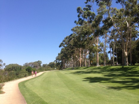 KIngs Park, Perth, Western Australia, Australia