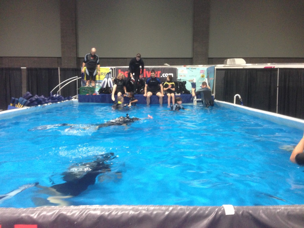 Washington DC Travel Show, swimming pool