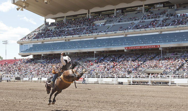 calgary, stampede