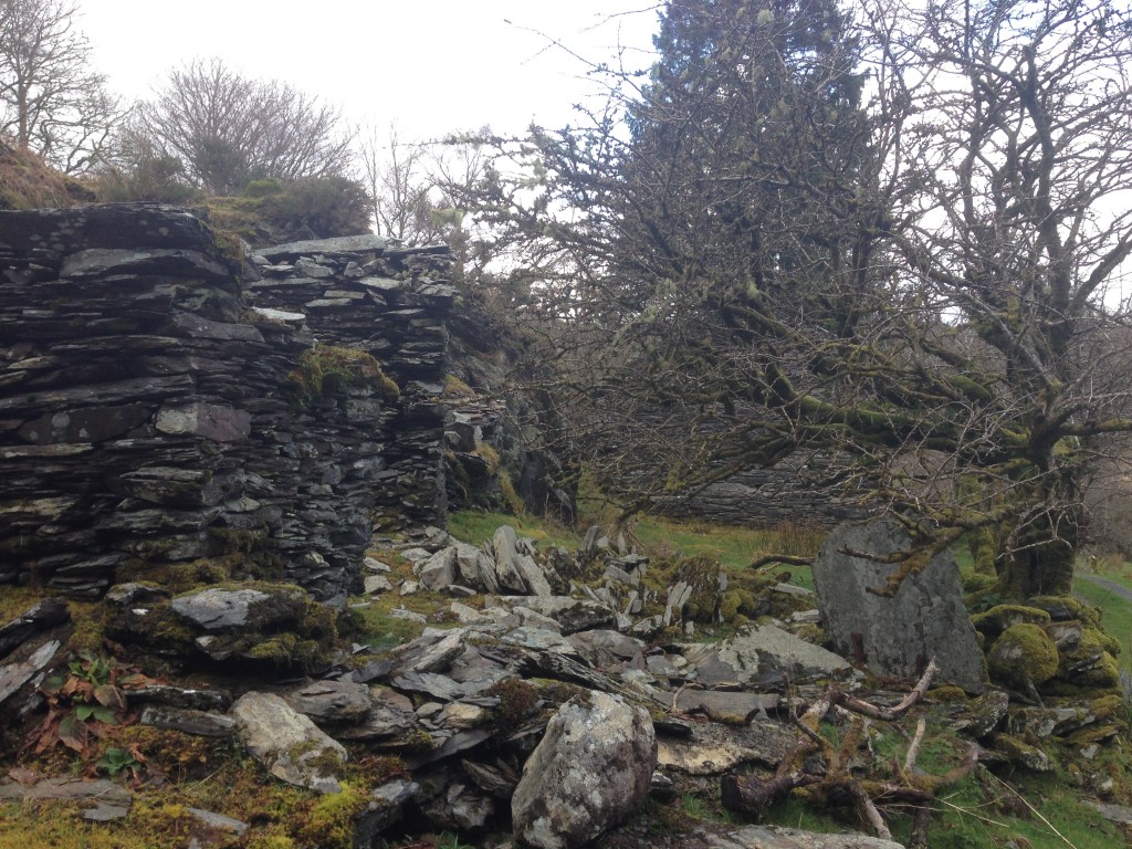 Snowdonia, ruins, North Wales