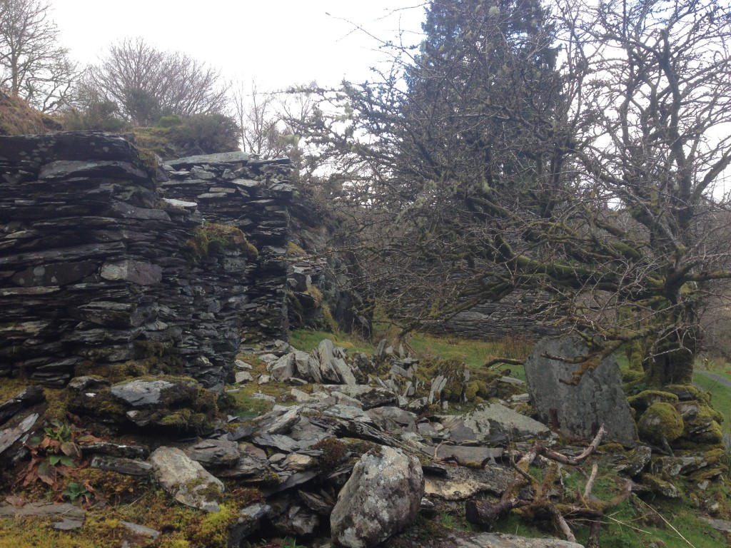 Snowdonia, ruins, North Wales