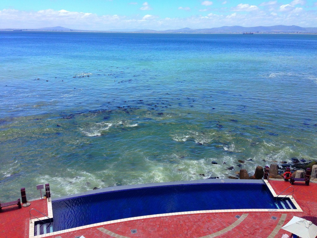 Radisson Blu, pool, Cape Town, South Africa