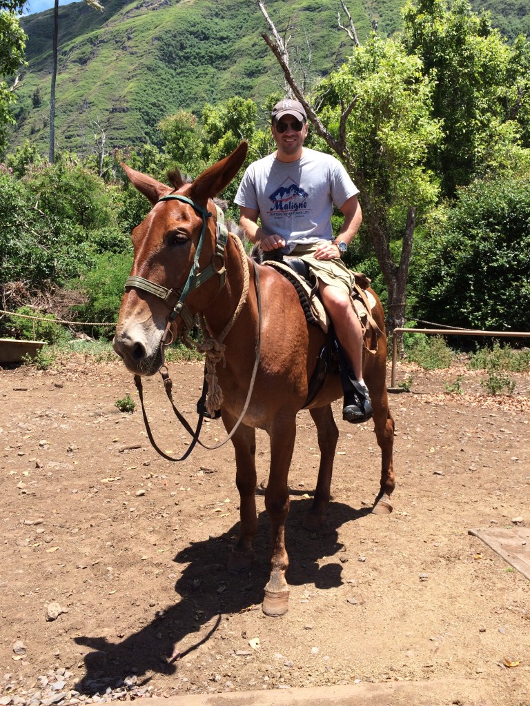 Molokai, Hawaii, mule ride, Lee Abbamonte