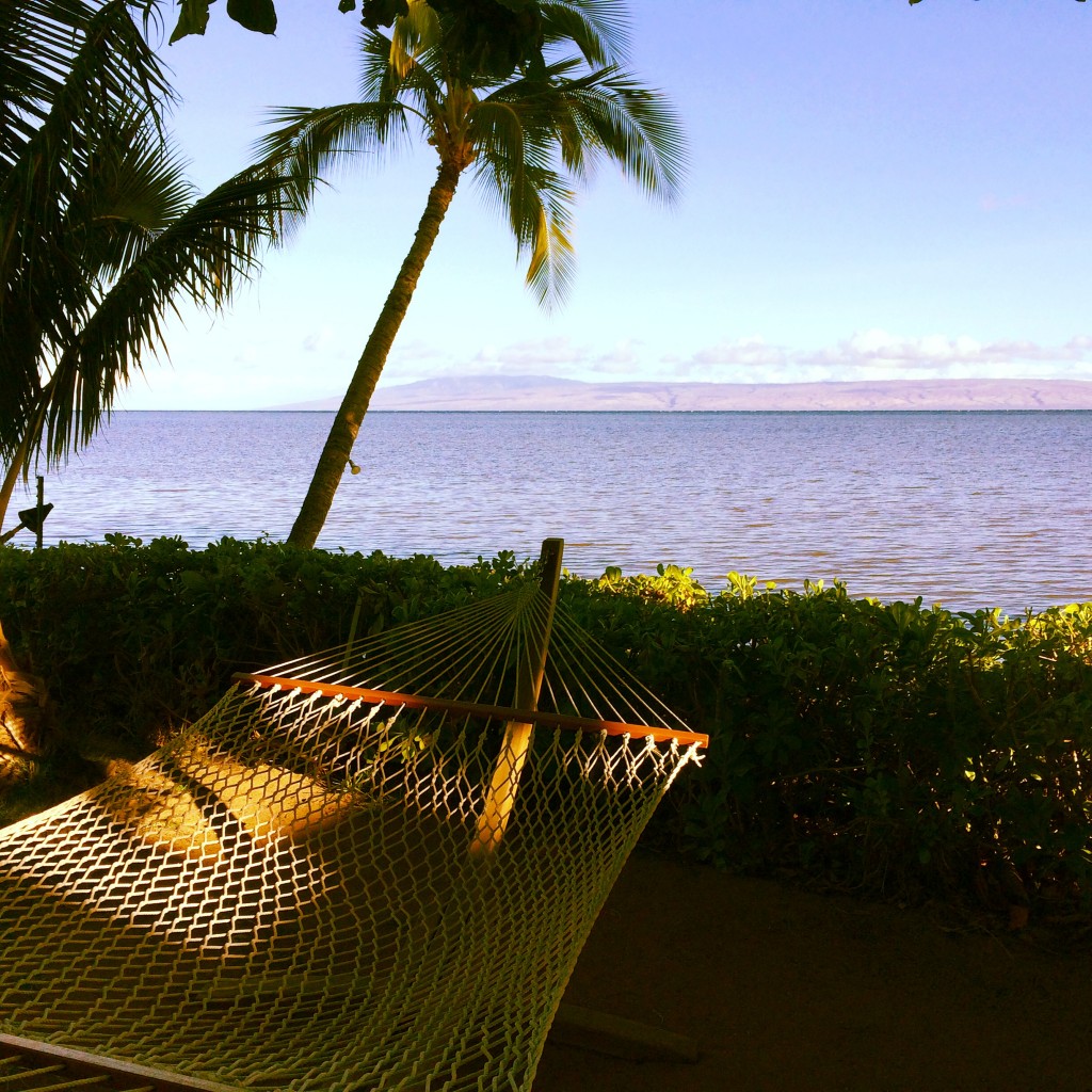 hammock, Molokai, Hawaii