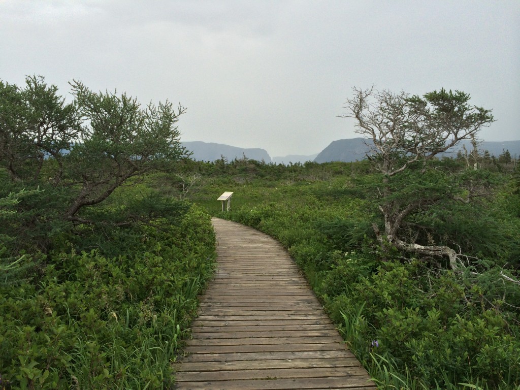 walk to fjord, western newfoundland, Canada